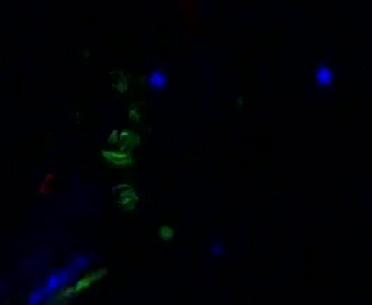 Rand Nude dance video-614