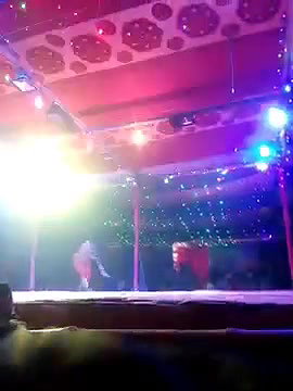 Rand Nude dance video-662