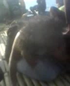 Rand Nude dance video-687