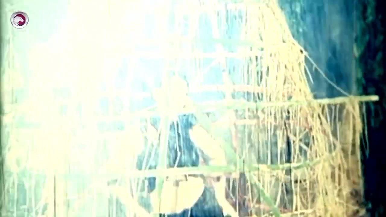 Random bengali B-grade Song -64