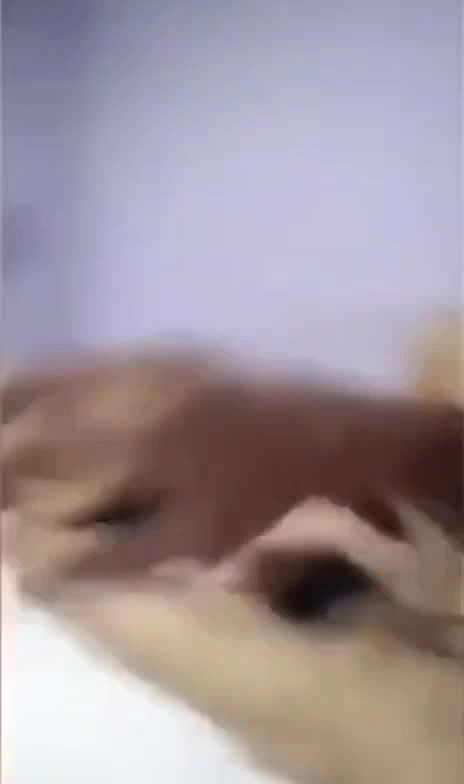 Burma cute girl suck and ride