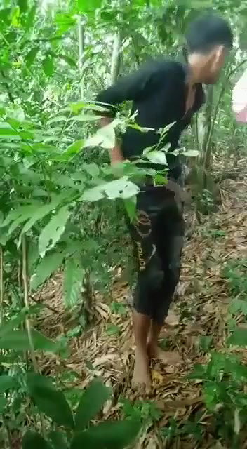 Village Girl Fucking With Young Boy In jungle