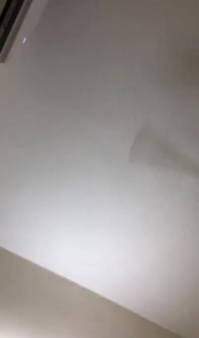 desi bhahi atr fk