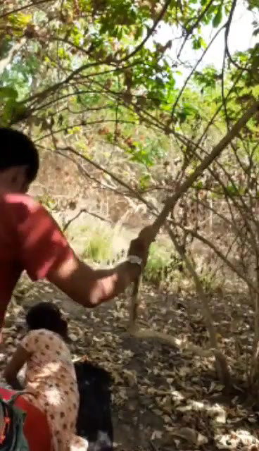 Desi couple Fucking recorded in jungle