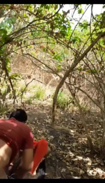 Desi couple Fucking recorded in jungle