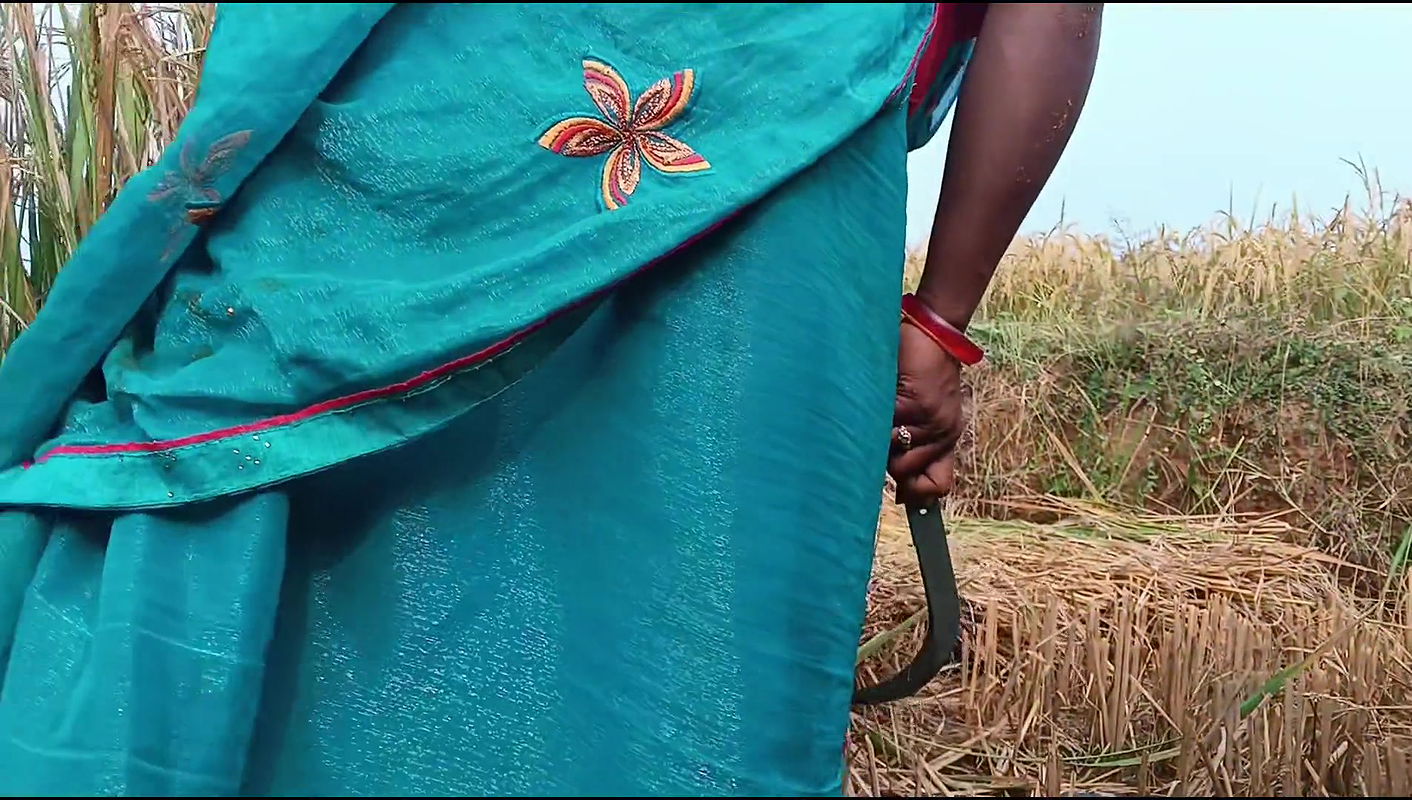 When the sister -in -law cut out Paddy, the brother -in -law fucked sister -in -law in Paddy Field.