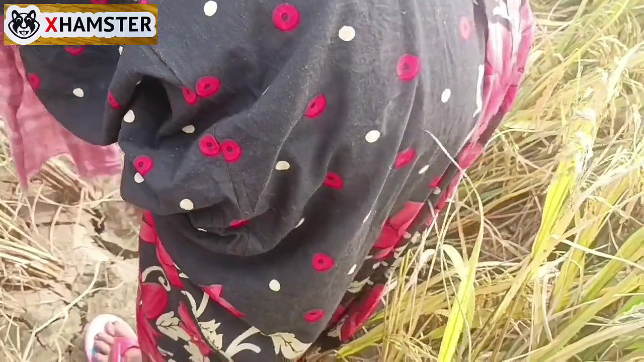 Bengal audio fucking in Paddy Field Nomita Bhabhi