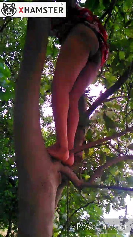 I like to pee in a tree and Bengalian dirty sound