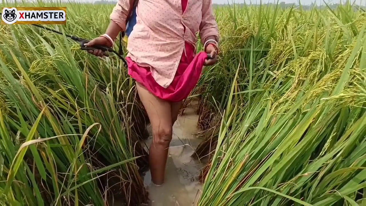Village nomita spray for rice plants Bengal Audio Dirty