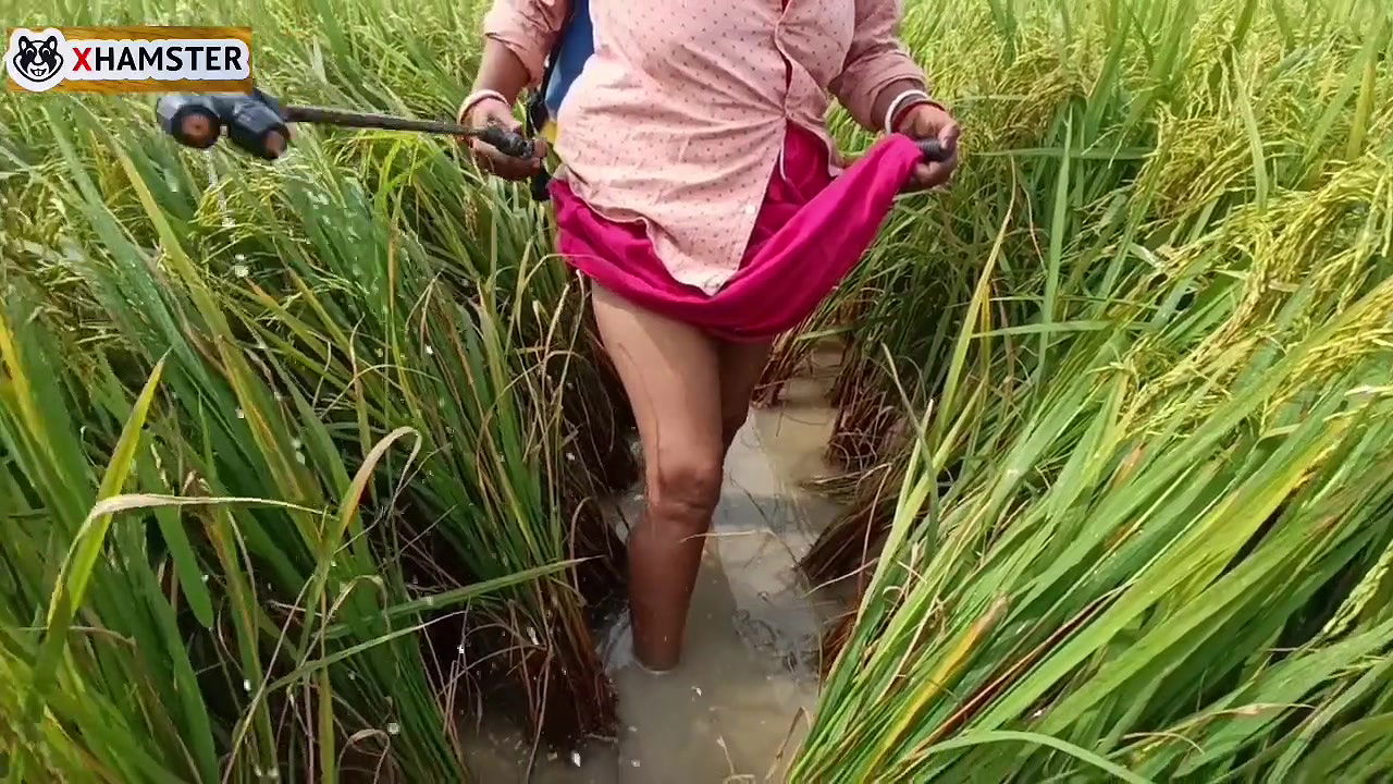 Village nomita spray for rice plants Bengal Audio Dirty