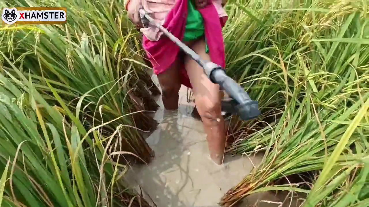 Village nomita spray for rice plants Bengal Audio Dirty