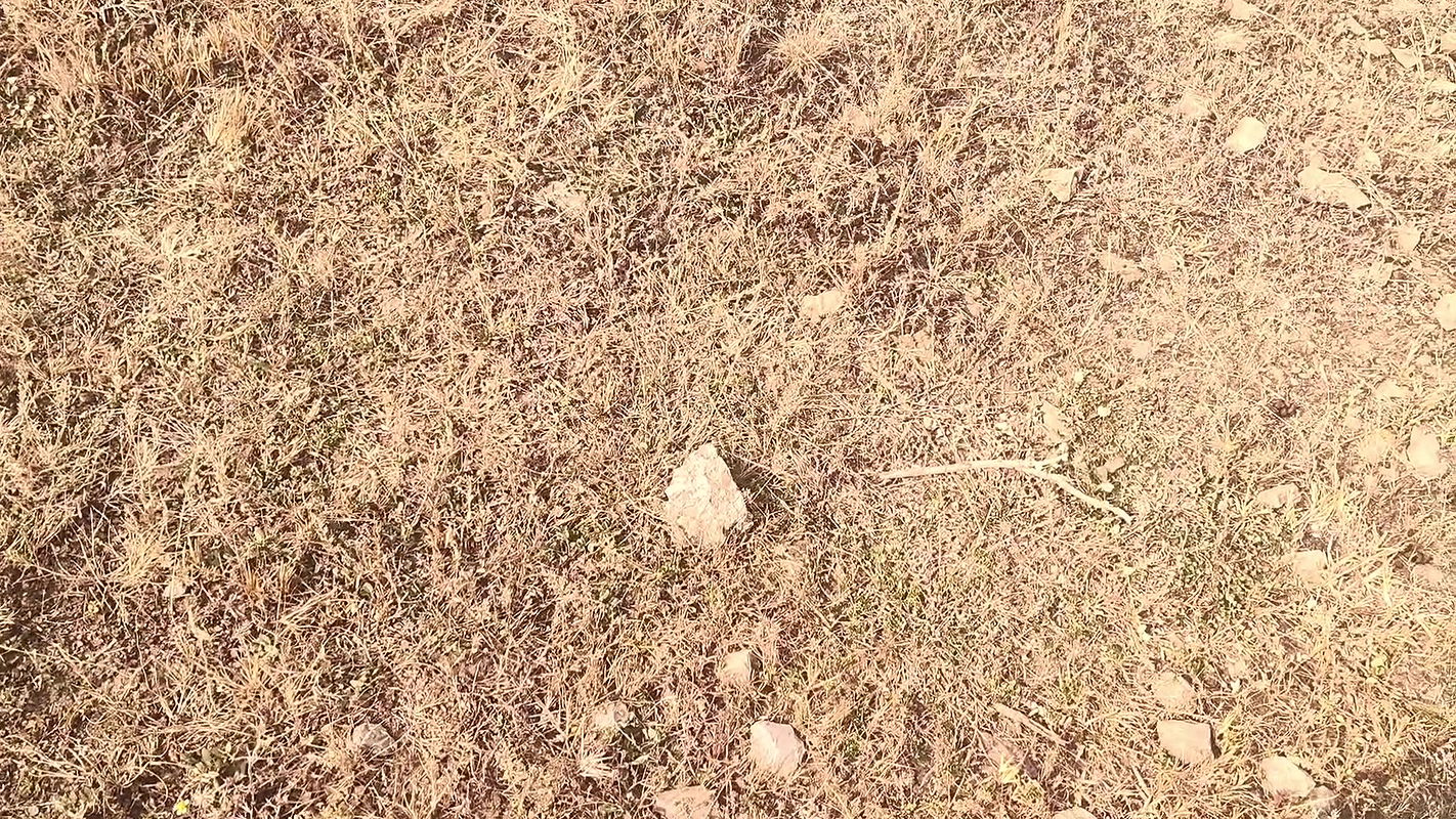 Village Indian aunty Fucked Outdoor by his stepson Hardcore Desi Hindi sex video