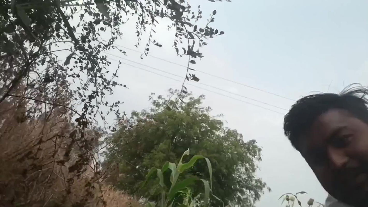 Near jungle lake hard fuck