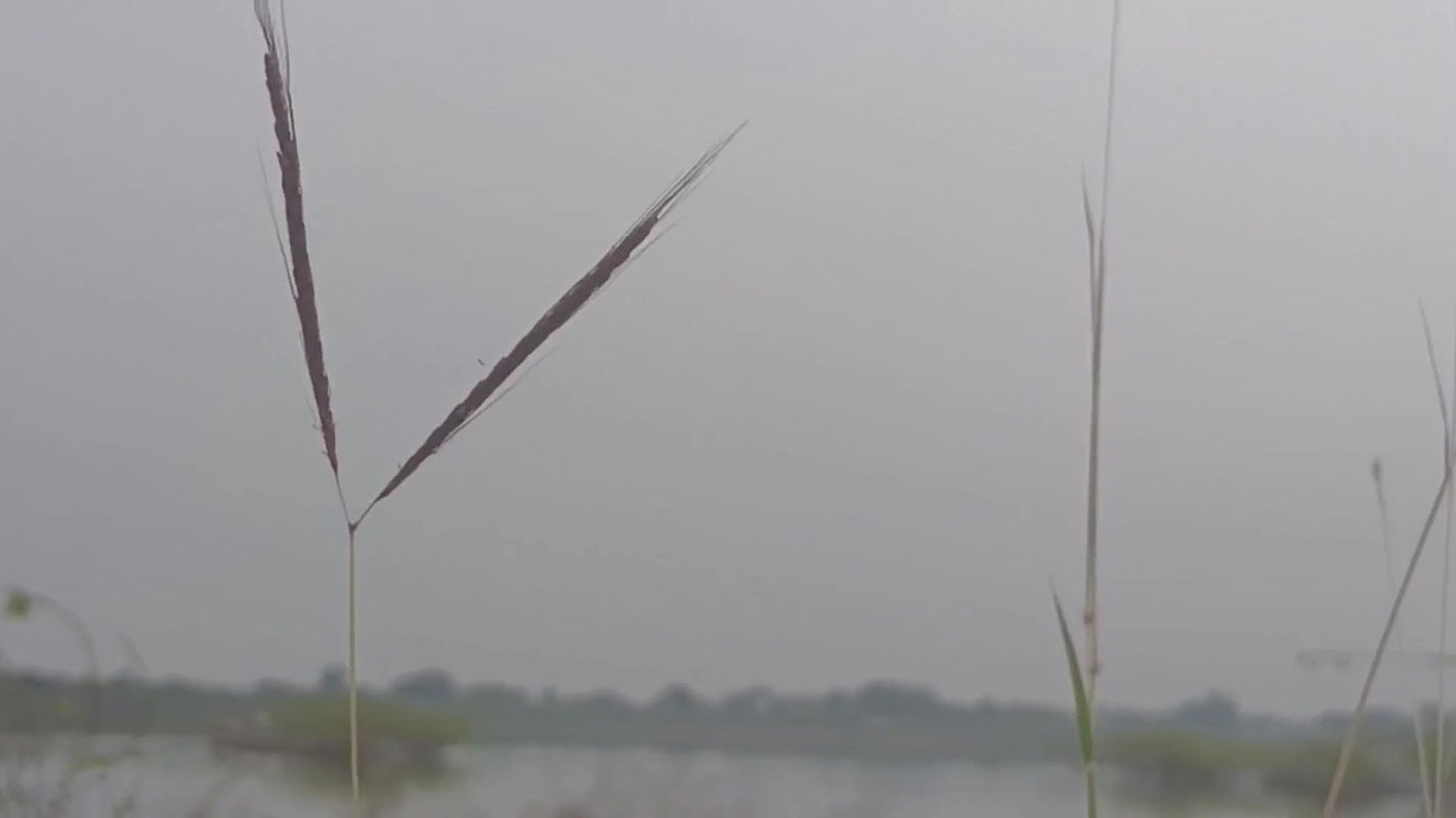 Near jungle lake hard fuck