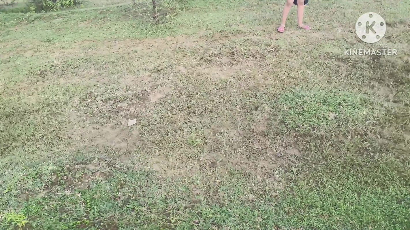 Mms Desi Indian girl Fucked outside by his boyfriend Hindi sex