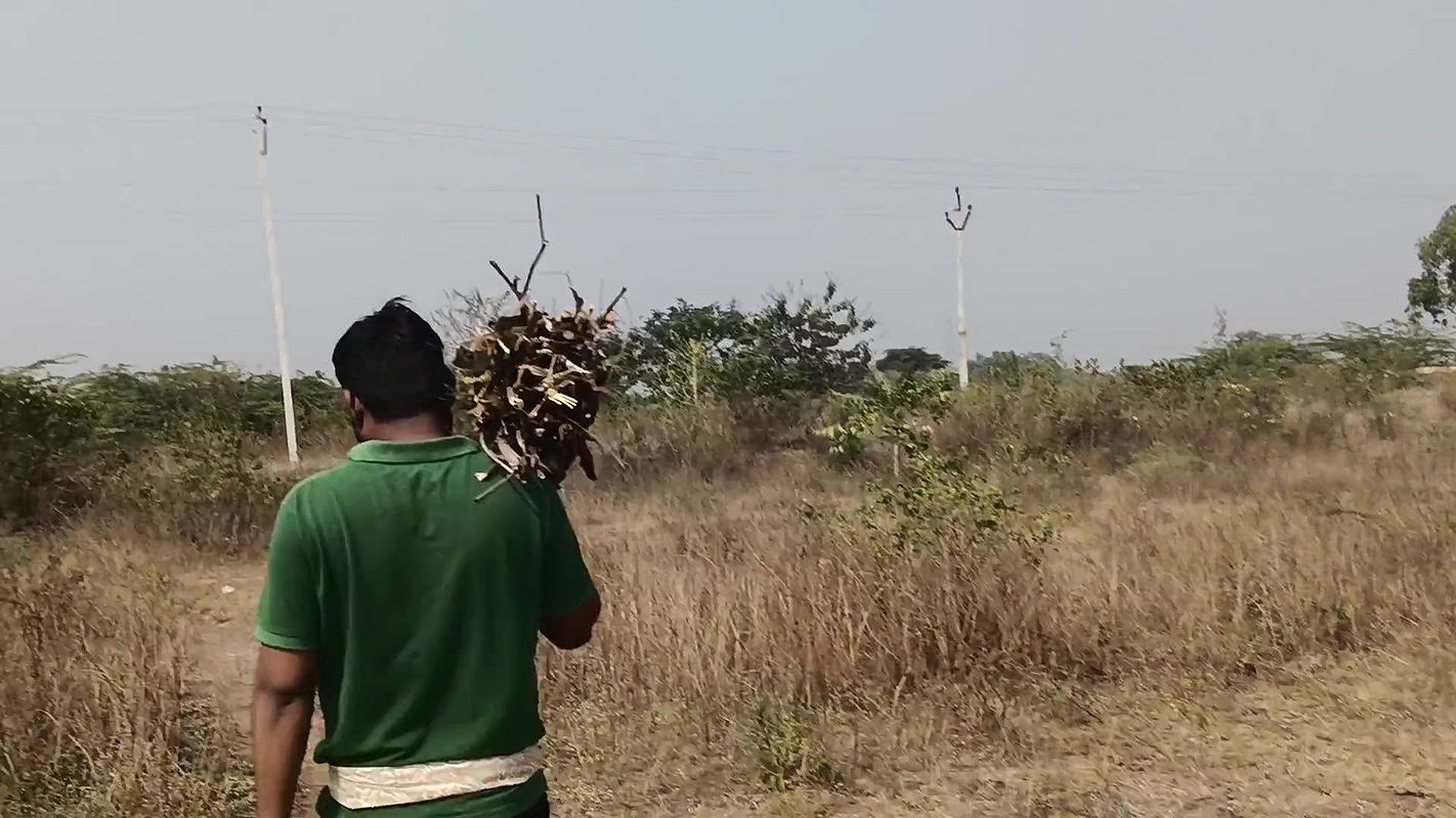 Jungle romantic close up missionary roughly hard Fuck