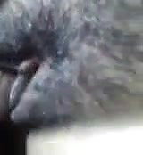 banglalut laboni fucking with bf