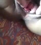 banglalut laboni fucking with bf