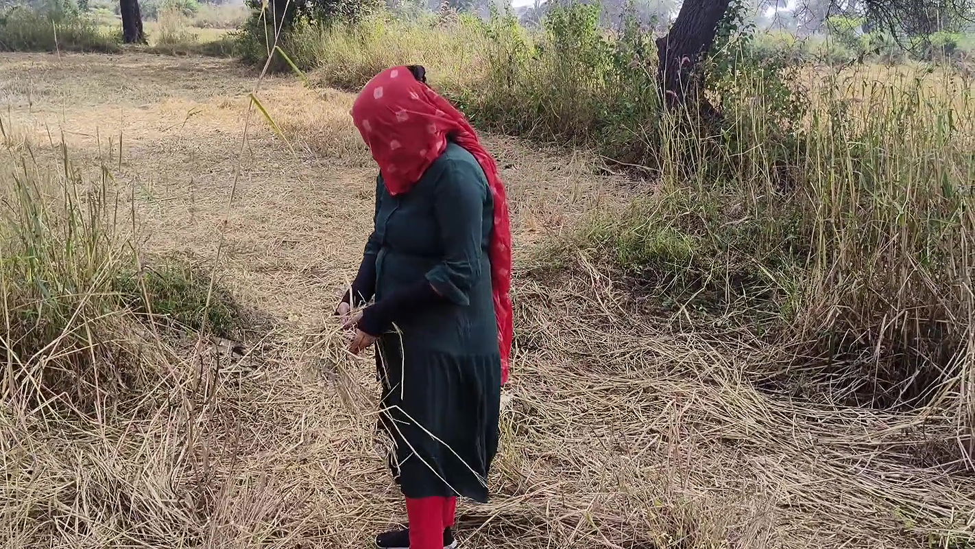 Indian village bhabhi fucked outdoors Hindi sex video