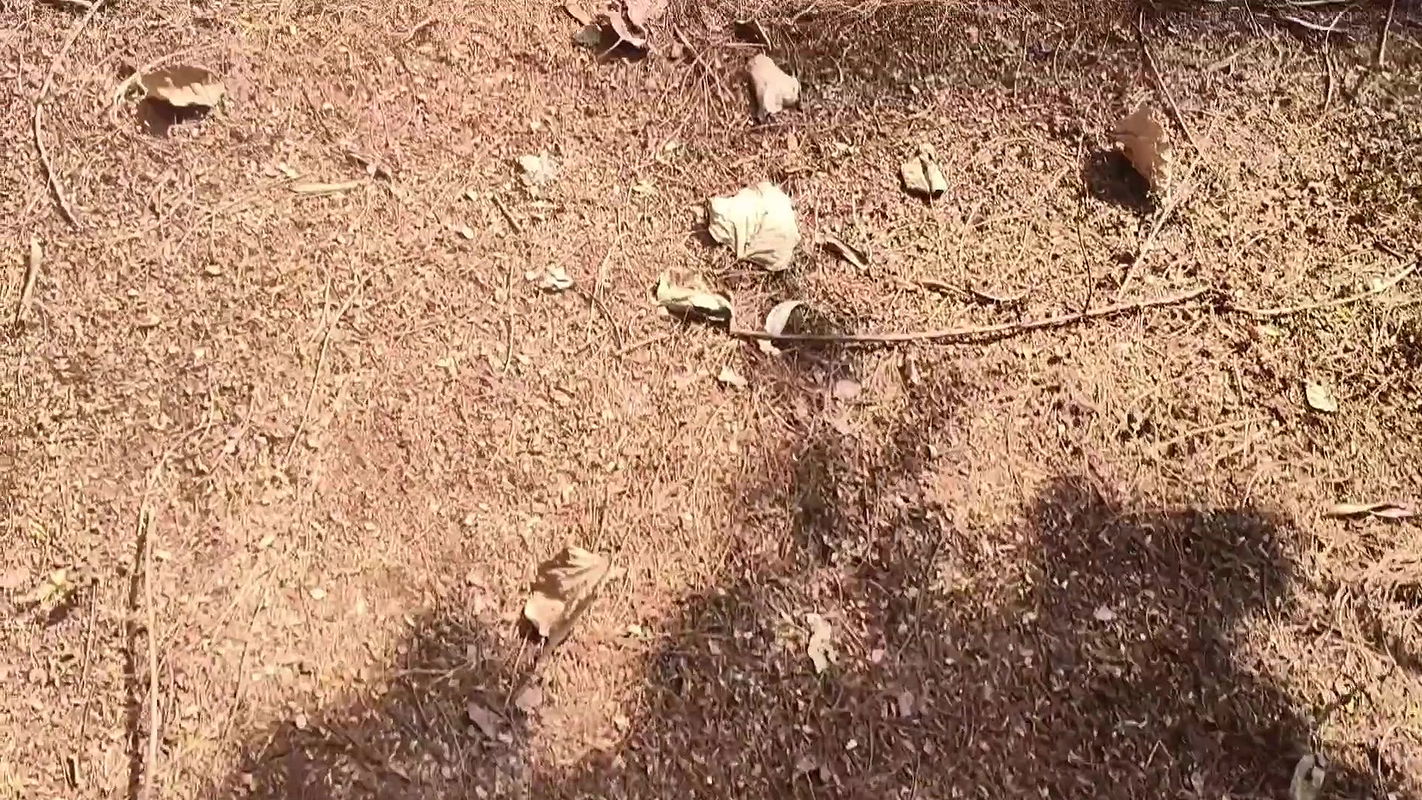 Indian Girlfriend Fucked Outdoor by his boyfriend Hindi sex video