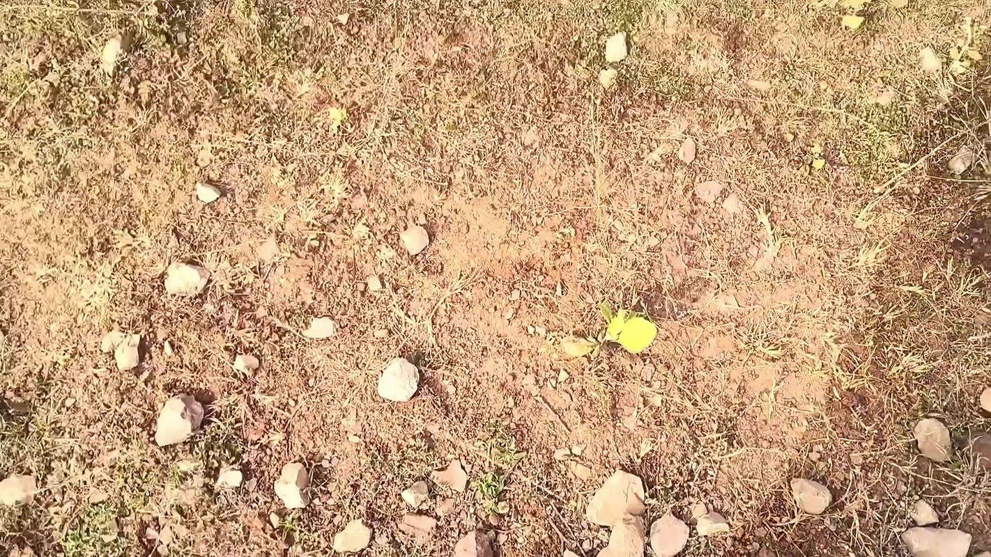 Indian Girlfriend Fucked In Jungle By His boyfriend outdoor Hindi sex video