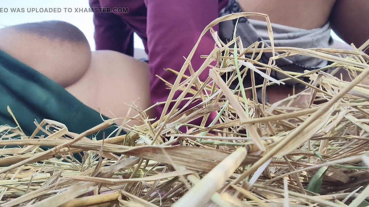 Indian girl Fucked Hard In Jungle Khet By his Boyfriend Desi Hindi audio sex video