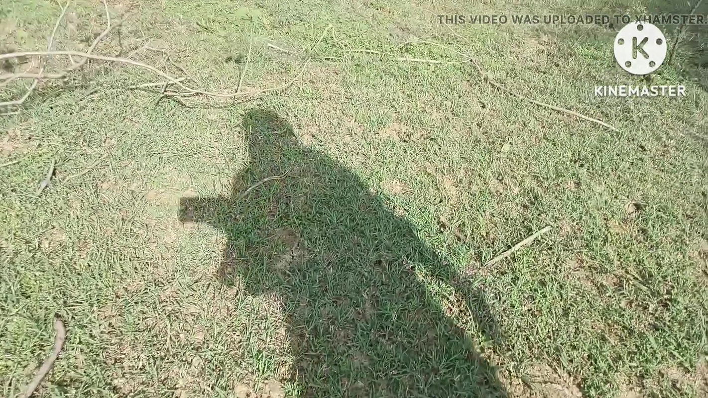 Badi maami ko khet mein Nude kar k chodaa hindi audio sex video