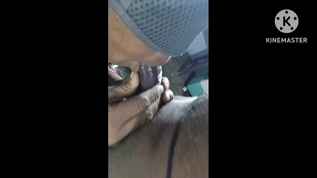 Andra anti chiki karchesindi kasiga