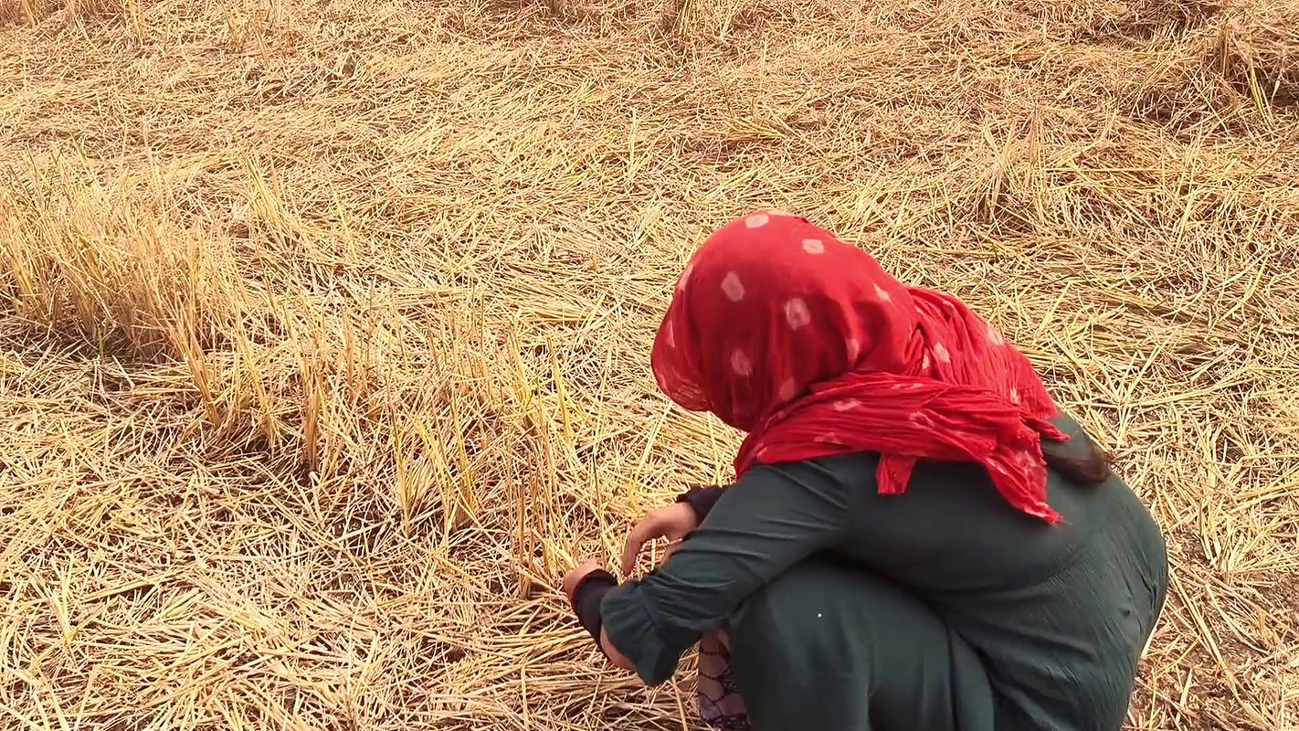 18 year old Indian girl fucked outdoor very hard by his boyfriend hardcore Hindi sex video