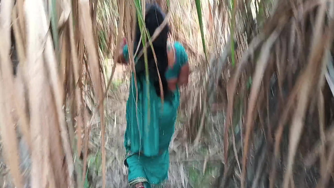 Today I kicked my wife’s ass in a sugarcane field and shot an Indian sex video