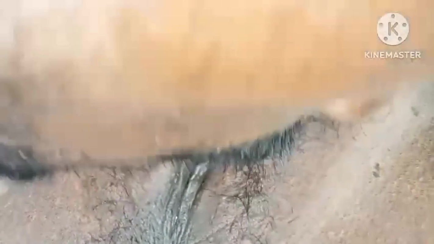 Bhabhi pussy licking and hard fuck