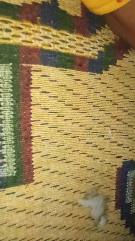 Bengali boudi fucking and darty talking. She is riding devar big dick