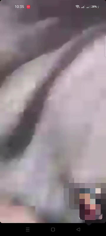 Shali’s pussy juice came out at the words of her brother-in-law’s sex