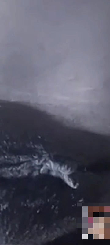 I had emo sex with my sister-in-law. If you don’t see my hot sister-in-law, you will miss her