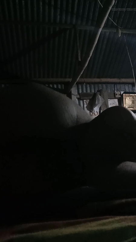 My Pakhi sex in nighty very tighty