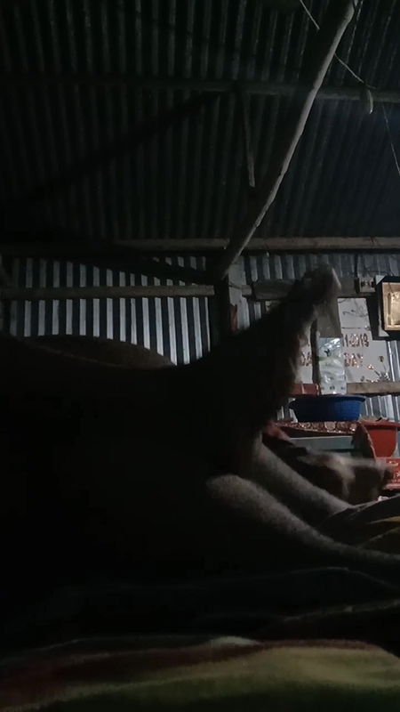 My Pakhi sex in nighty very tighty