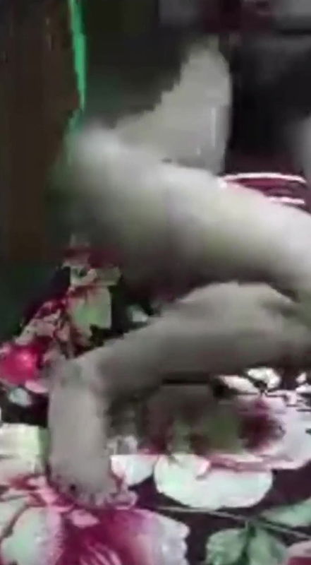 Desi Indian Bhabhi Fucked Bf when Husband Is Not Home, Full Watch This Viral Video Part-1