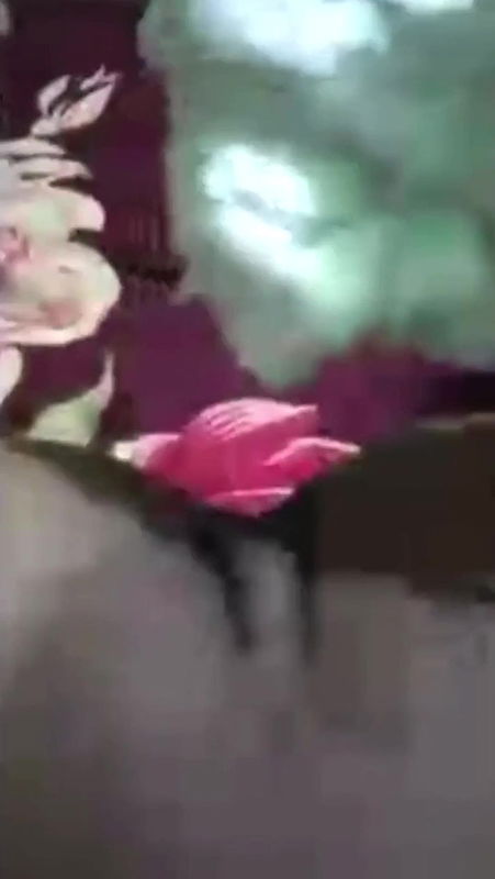 Desi Indian Bhabhi Fucked Bf when Husband Is Not Home, Full Watch This Viral Video Part- 3