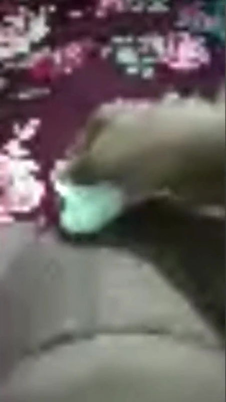 Desi Indian Bhabhi Fucked Bf when Husband Is Not Home, Full Watch This Viral Video Part- 3