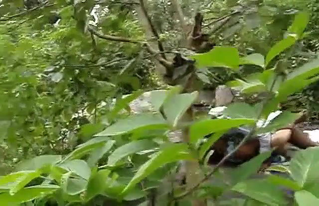 dehradoun ki bhabhi ko forest mai choda