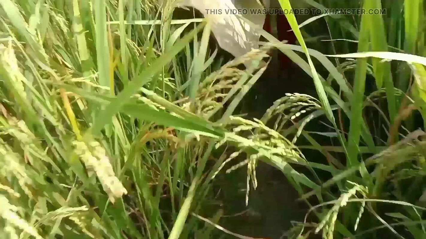 The beautiful girl of the college is the first time in the jungle with her boyfriend