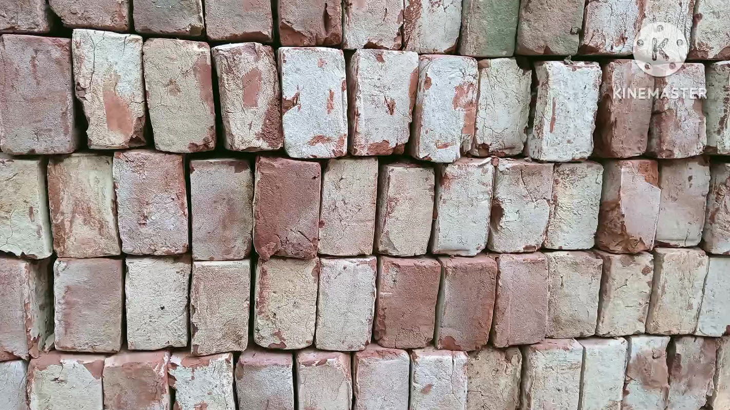 Muslim step brother has sex with elder step sister