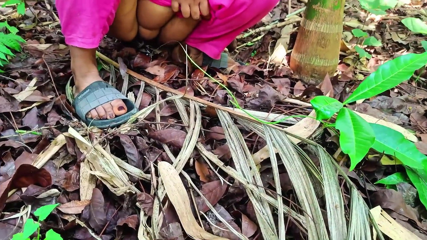 Jungle Sex in Indian Desi Aunty