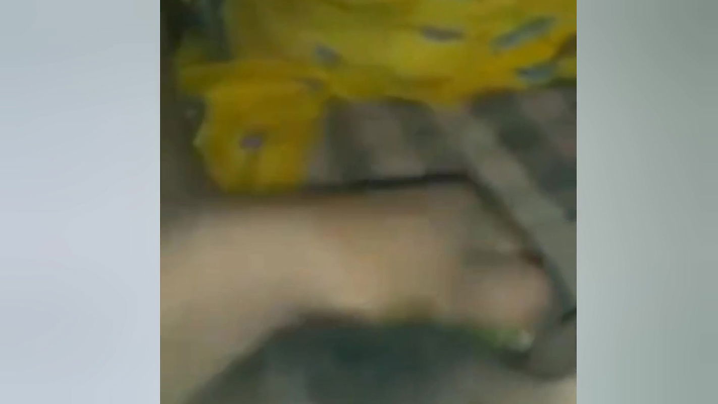 Bangladeshi sexy girl cucumber hard masturbate