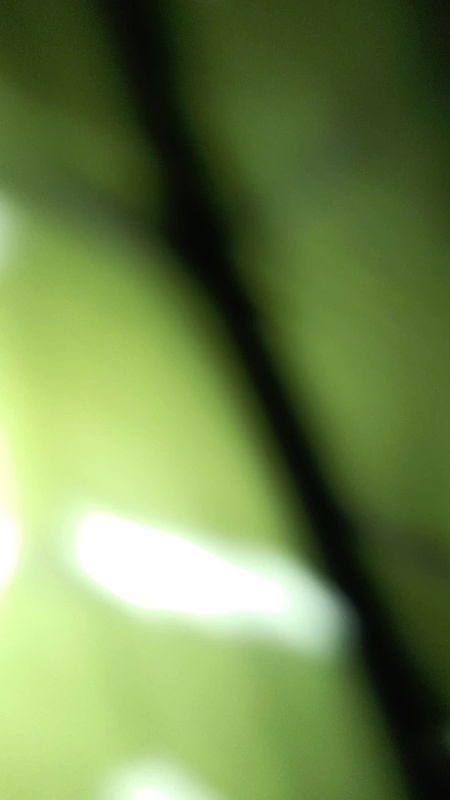 Desi Creamy puffy pussy girlfriend ki chudai