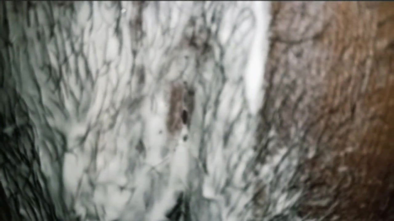 Tamil teacher and maidam pussy seving vedio