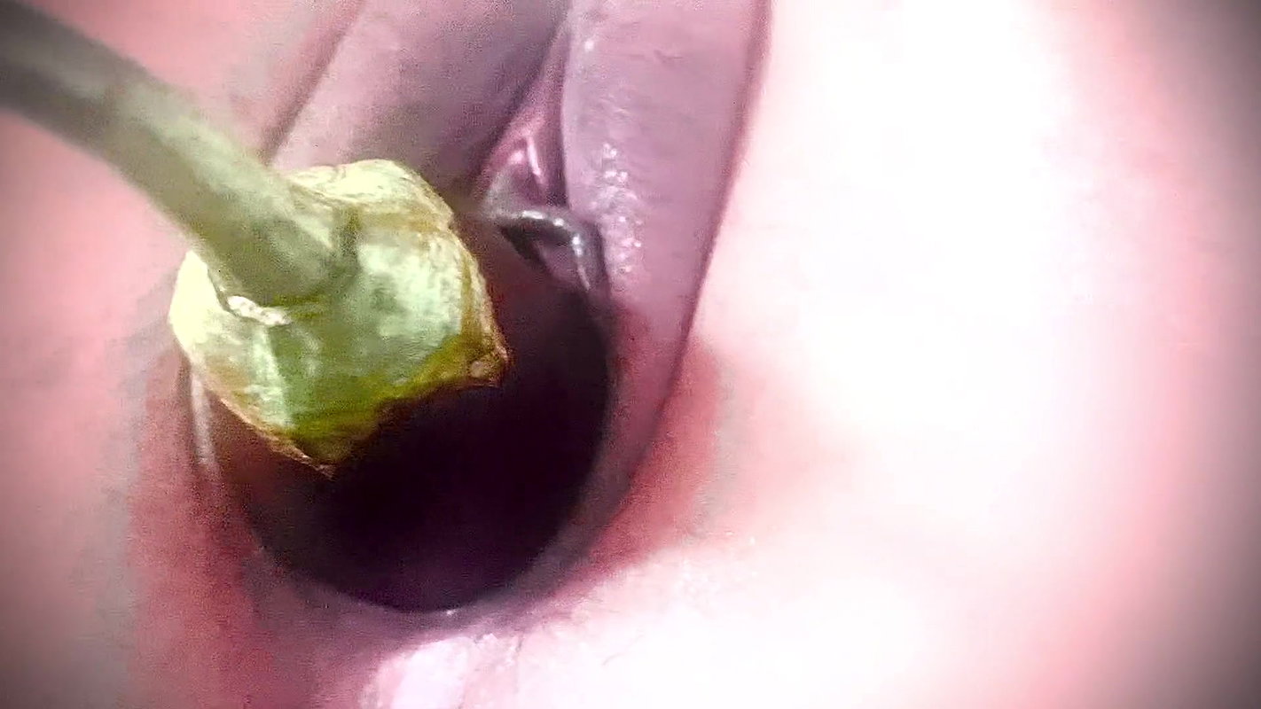 18 Years Tight Discount Unlocked with Thick Brinjal