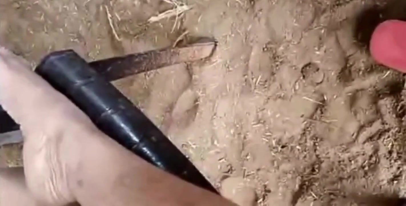 At in-laws House, Step Sister Showed Her Pussy and Sucked Step Brother’s Cock