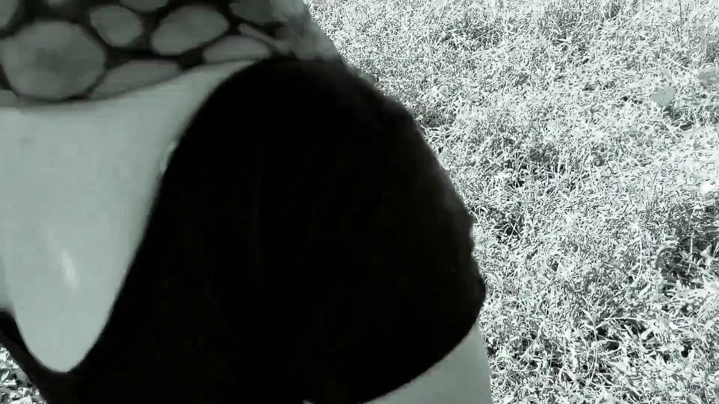 Aunty jungle me Mangal noukar se chudai karwayi jungle me