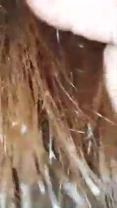 Beautiful Hairy Girl..Riding Reverse Cowgirl